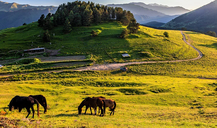 Tusheti National Park is an attractive and touristic place to travel to Georgia.